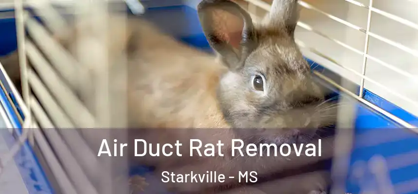 Air Duct Rat Removal Starkville - MS
