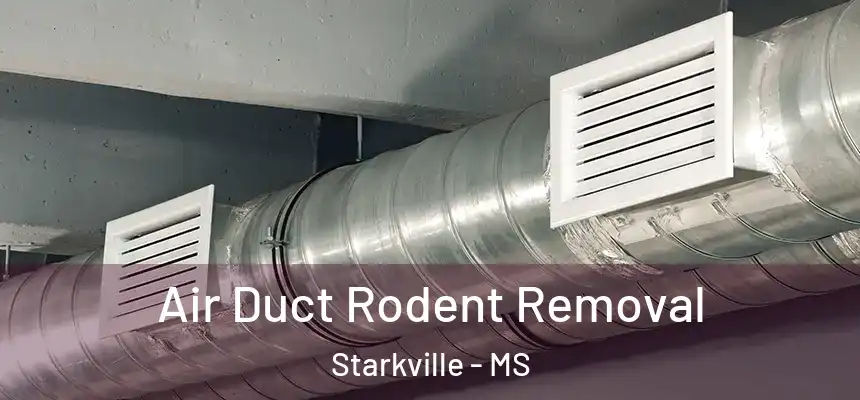 Air Duct Rodent Removal Starkville - MS