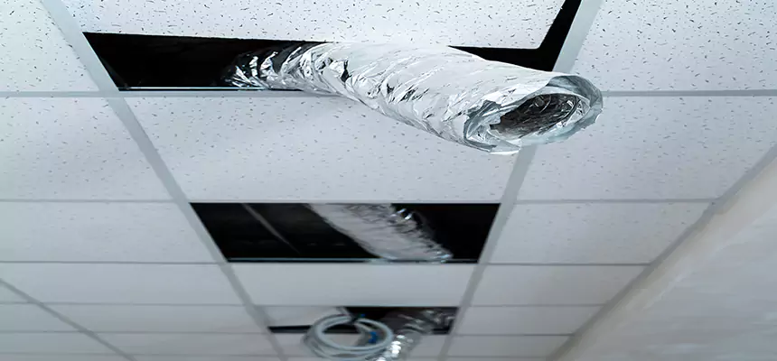 Affordable HVAC Sanitizing After Pest Removal in Starkville