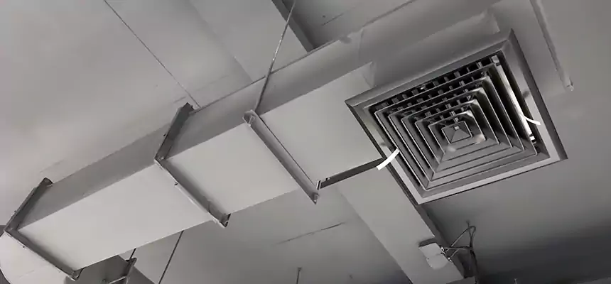 Our Pest Removal From Ducts Services in Starkville, MS