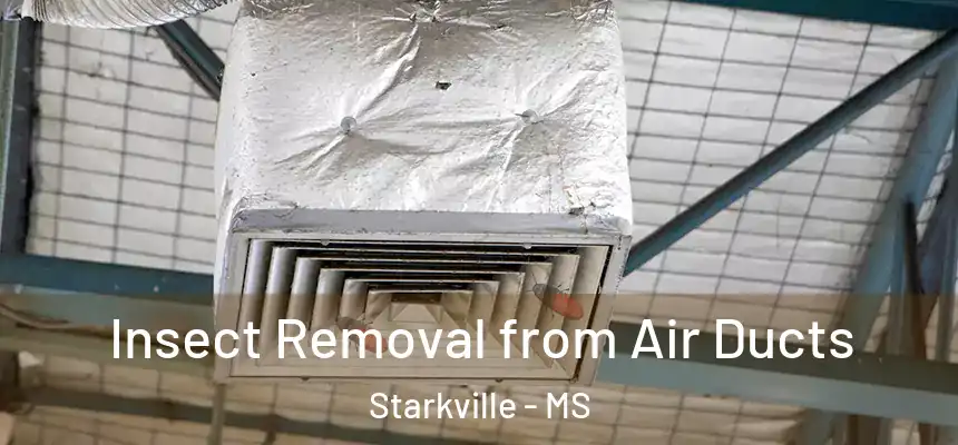  Insect Removal from Air Ducts Starkville - MS