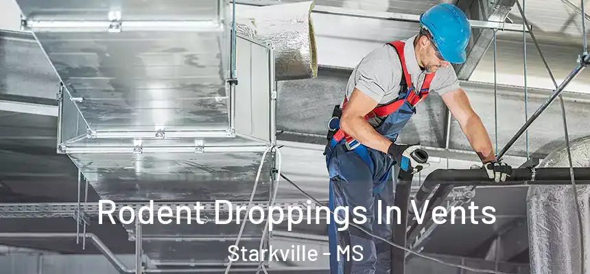 Rodent Droppings In Vents Starkville - MS