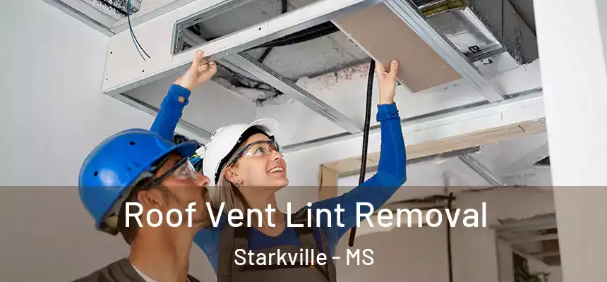 Roof Vent Lint Removal Starkville - MS