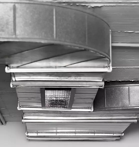 Professional Air Duct Pest Removal in Starkville, MS