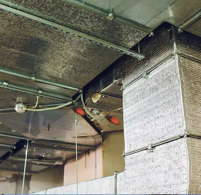 Why Homeowners & Businesses Trust Us in Starkville, MS?