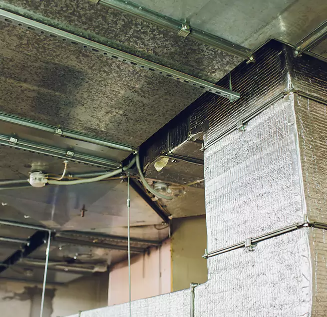 Why Homeowners & Businesses Trust Us in Starkville, MS?